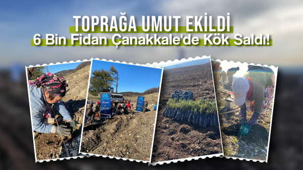6 Bin Fidan Çanakkale’de Kök Saldı!